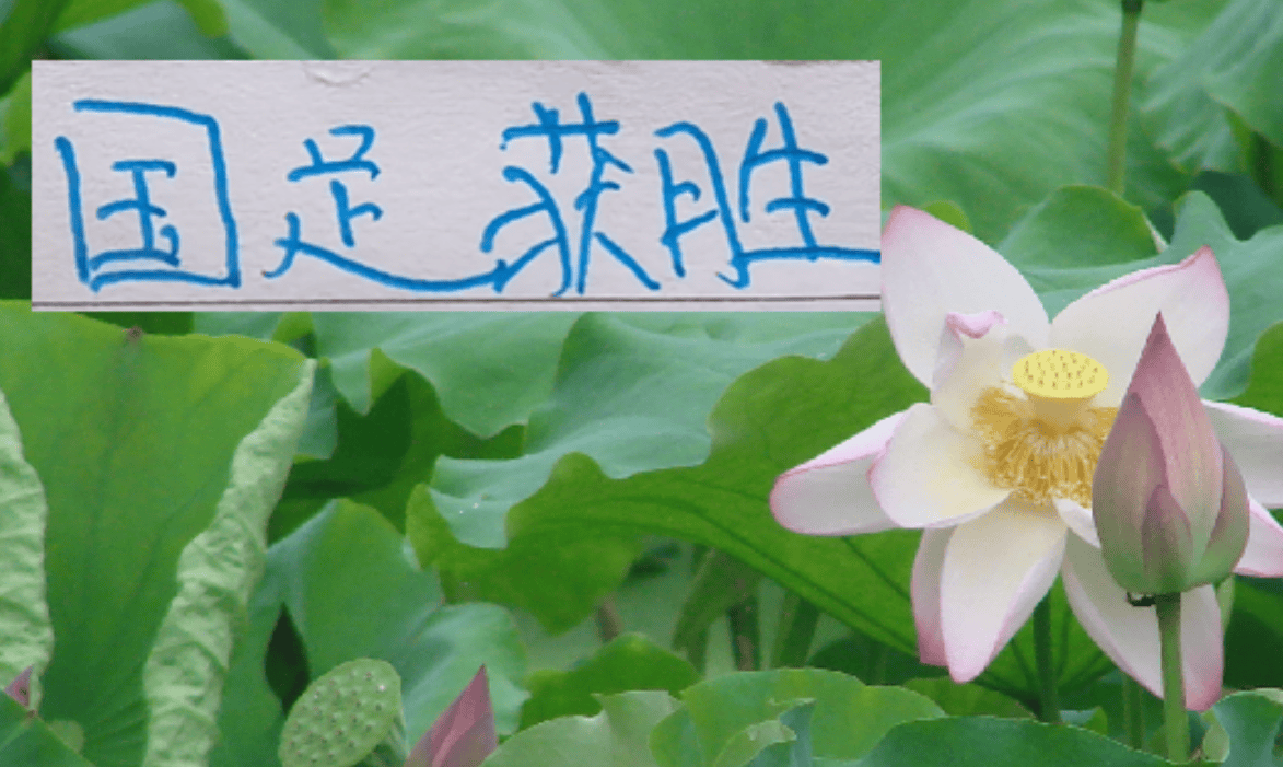 ช่างเป็นความสำเร็จที่ยิ่งใหญ่! ทีมชาติชนะแล้ว! การเจรจาของเซี่ยงไฮ้ เสิ่นหัวกับนักเตะต่างชาติคนใหม่ยังคงดำเนินต่อไป การเปลี่ยนแปลงผู้จัดการทีมของเชลซีนำไปสู่ชัยชนะทันที รอบชิงชนะเลิศ ผู้จัดการทีม ออสเตรเลีย