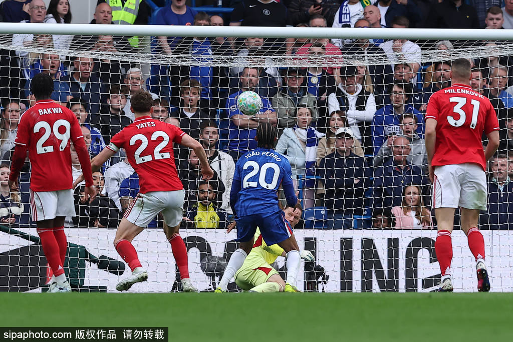 78960182.jpg